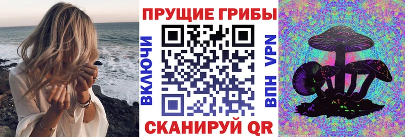 hydra как зайти  Усинск  Галлюциногенные грибы мицелий 